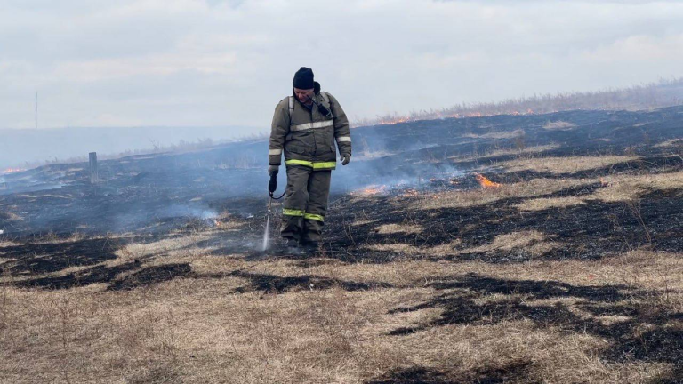 Отжиги сухой растительности начались в Свирске