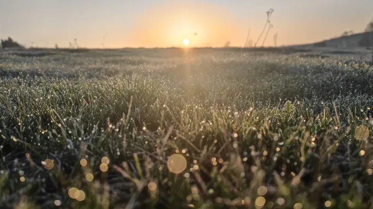 Заморозки, ливни и грозы ожидаются 4 июня в Приангарье