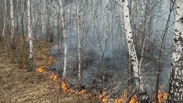 Более 60 га леса горит в Бодайбинском и Мамско-Чуйском районах