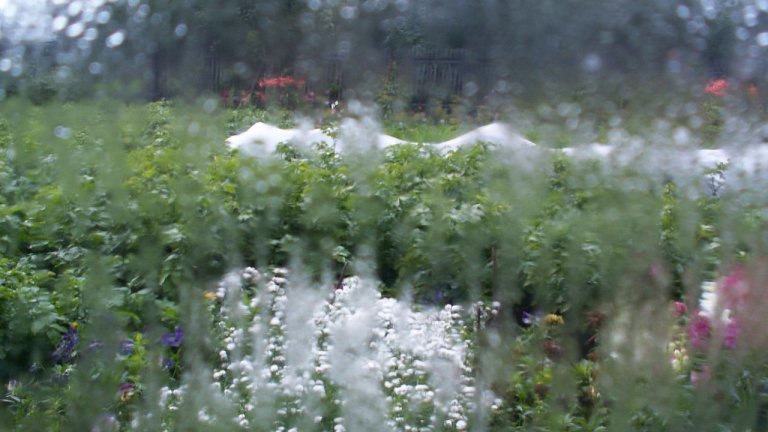 Ухудшение погоды ожидается в Иркутской области с 14 по 16 августа