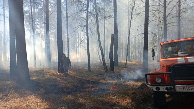 Шесть крупных лесных пожаров потушили в Приангарье за сутки