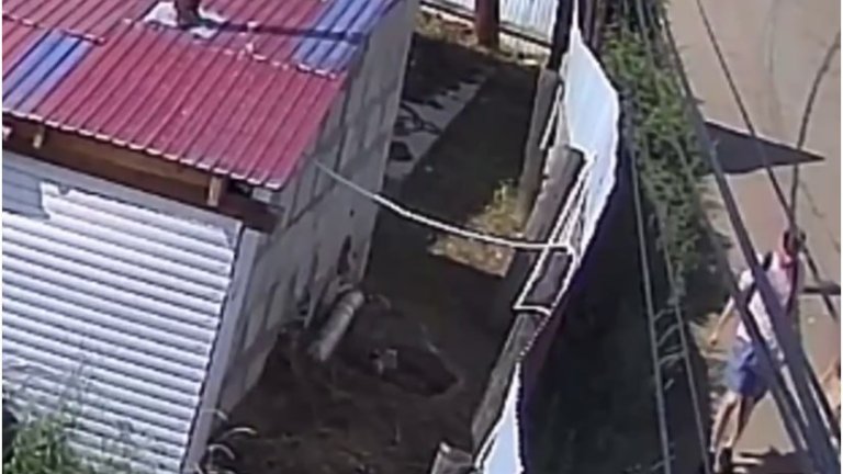 Словесная перепалка пассажиров маршрутки закончилась побоями в Иркутске