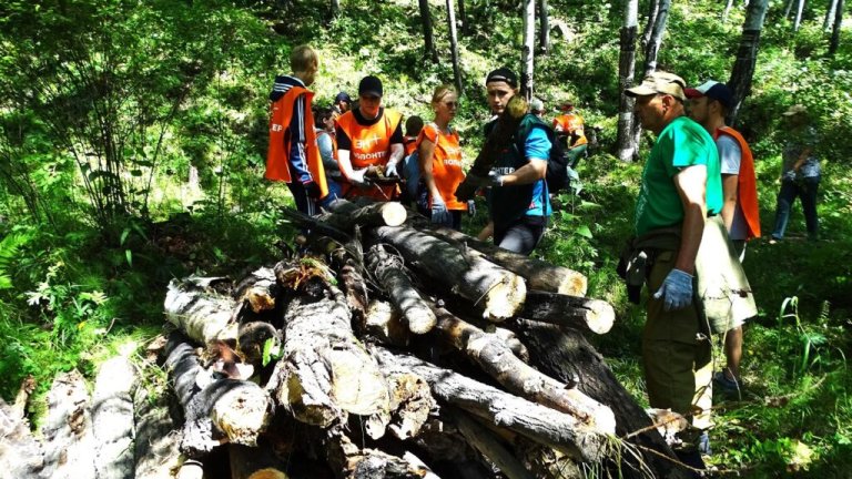 Волонтёры собрали 100 кубометров валежника в Тёмной Пади