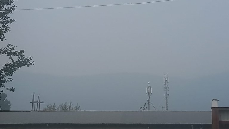 Бодайбинский район окутан дымом от лесных пожаров