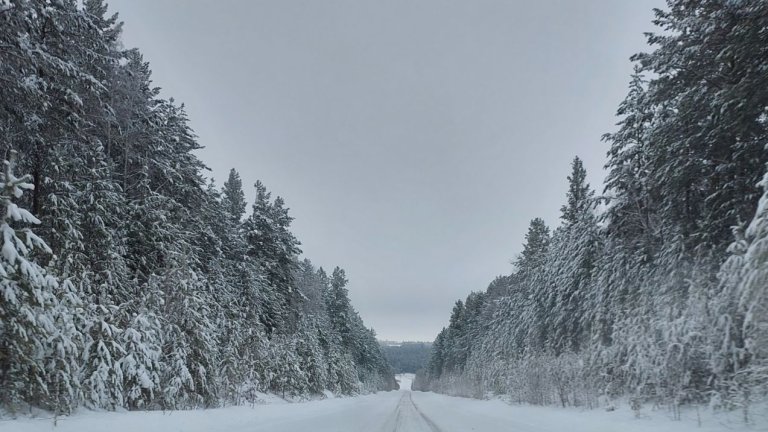 Похолодание придёт в Иркутскую область 12 февраля
