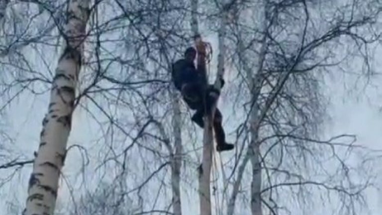 Пожарные сняли с берёзы мужчину в Иркутском районе