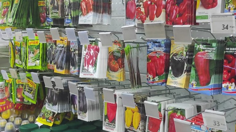 Семена сомнительного качества всё чаще обнаруживают проверяющие в Иркутске