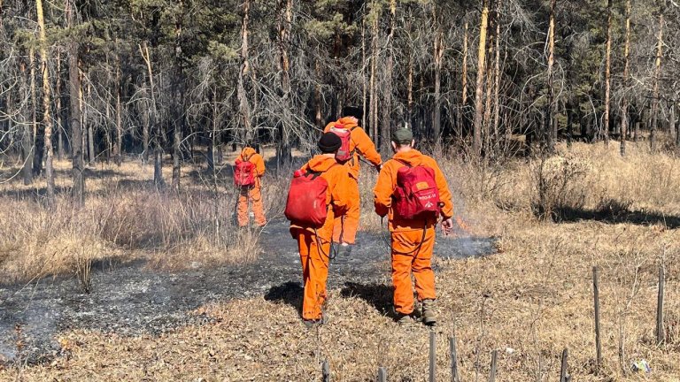 В Ангарском округе начали отжигать сухую траву