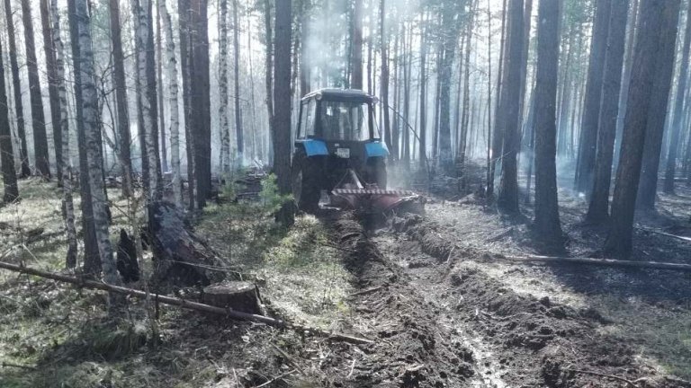 314 гектаров лесных возгораний потушили в Приангарье