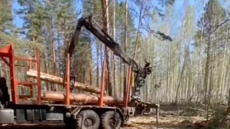 Группу «чёрных лесорубов» задержали в Усть-Удинском районе