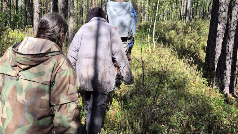 73-летний житель Усольского района провёл трое суток на болоте