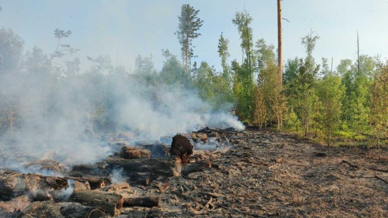 Два лесных пожара потушили за сутки в разных районах Приангарья