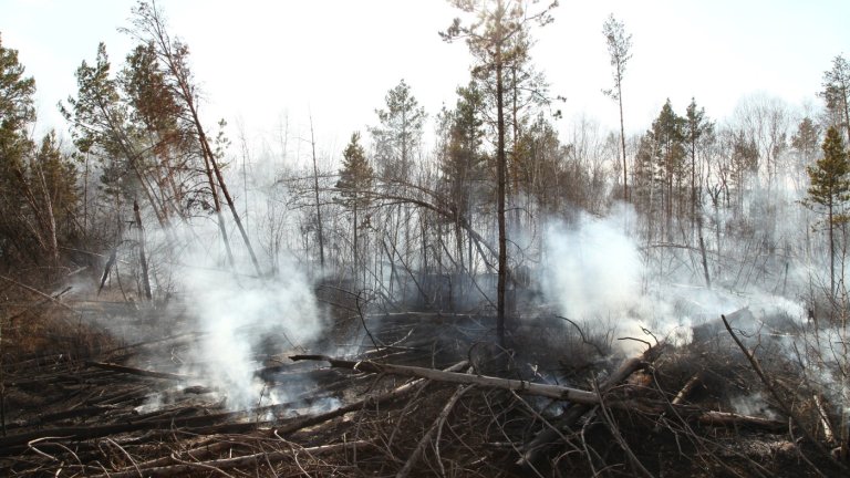 Около 4,7 тысячи гектаров леса горит в Иркутской области