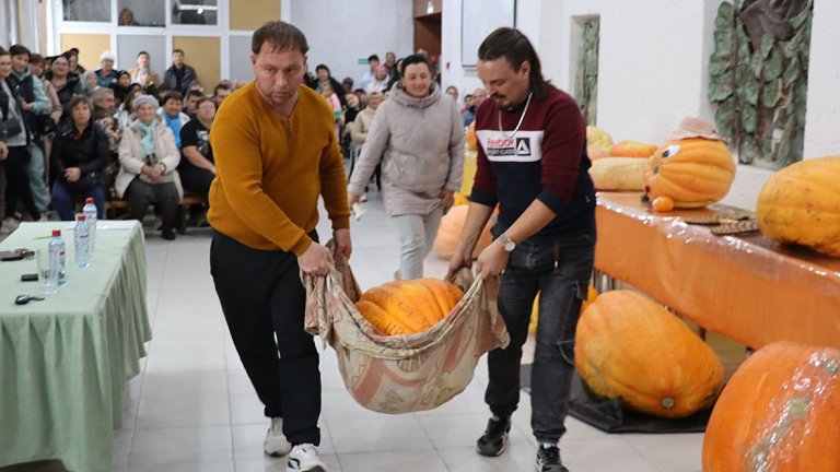 Тыкву весом более 114 кг вырастили в Чунском округе