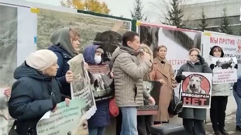 Наказать живодёров по всей строгости потребовали участники митинга в Иркутске