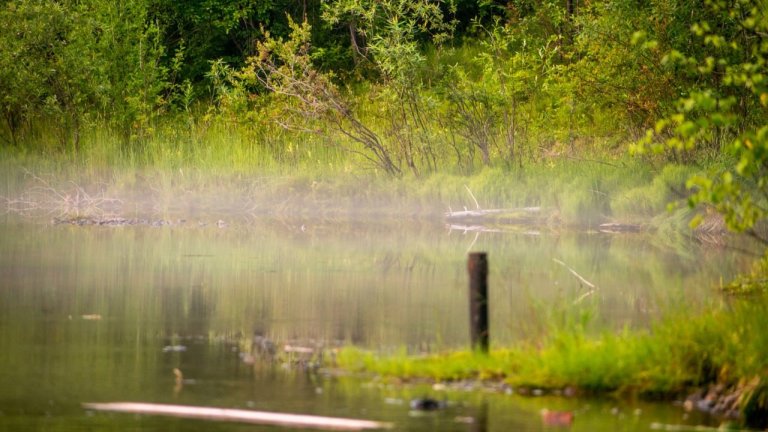 Тело женщины нашли в утонувшей иномарке в Тайшетском районе