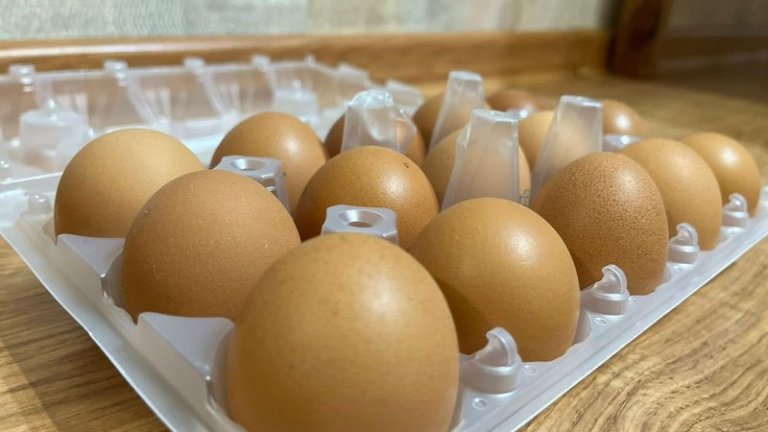 Птицефабрики Приангарья обеспечивают регион куриным яйцом на 156%