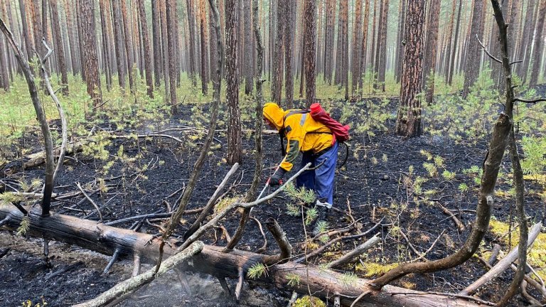 Почти 4 тыс. гектаров лесных пожаров потушили в Приангарье