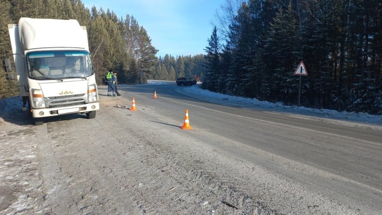 В Братском районе мужчина попал в реанимацию после ДТП с лошадью