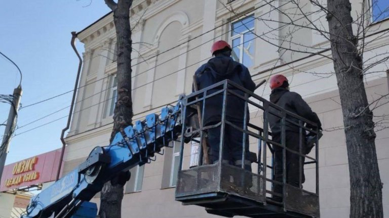 Формовочную обрезку деревьев начали в Иркутске