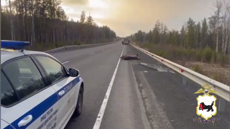 Мотоциклист погиб на трассе в Нижнеудинском районе