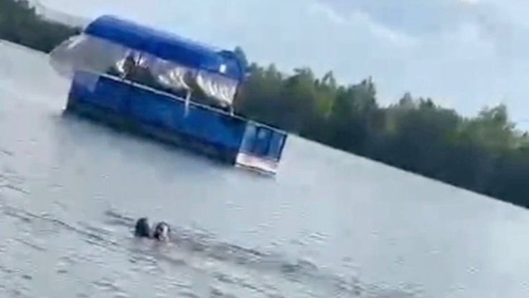 Сотрудник МЧС на отдыхе спас тонущего ребёнка в Смоленщине