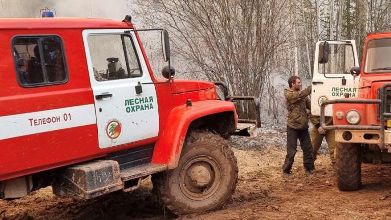 10 пожаров потушили в лесах Иркутской области за выходные
