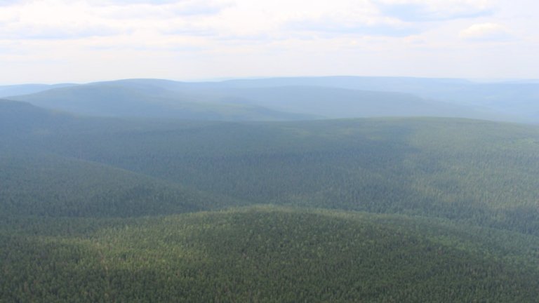 Пожароопасный сезон закончился в 9 лесничествах Иркутской области