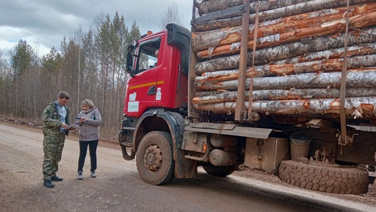 Операция «Колея» стартует в лесничествах Иркутской области