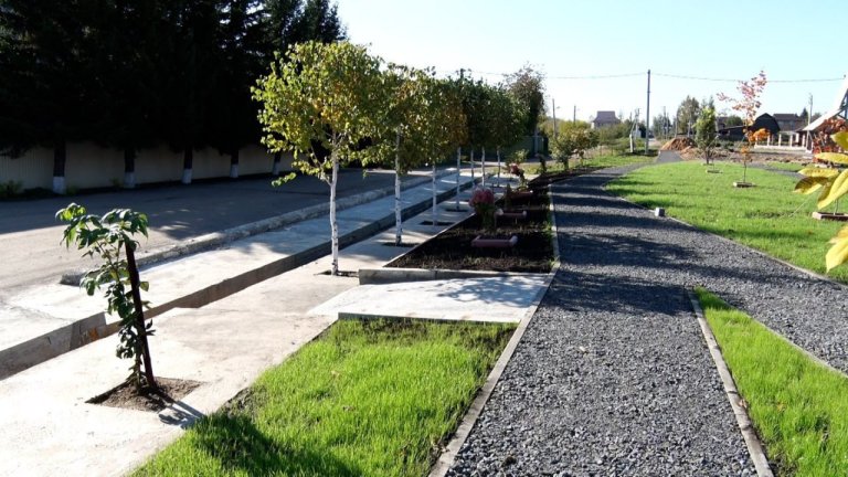Интернациональный парк «Дружба» скоро появится в одном из районов Иркутска