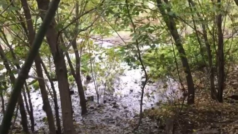 Прокуратура проверит достоверность информации о сбросе сточных вод в Ангару в городской черте Иркутска