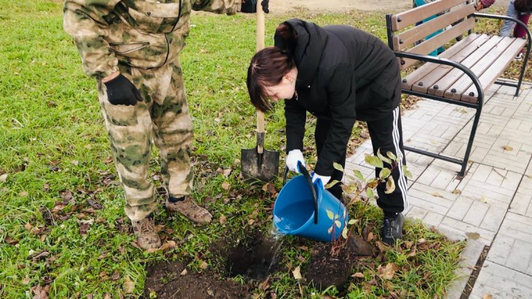 Сирень, рябины и крупномерные сосны украсили улицы Черемхова