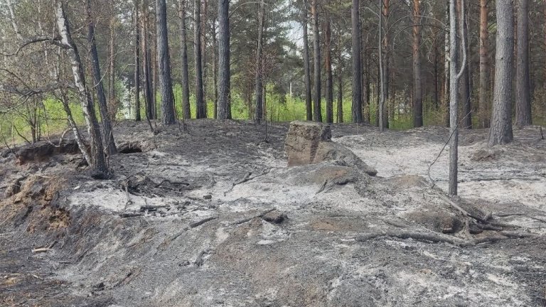 Отжиги сухой травы начали в Иркутске