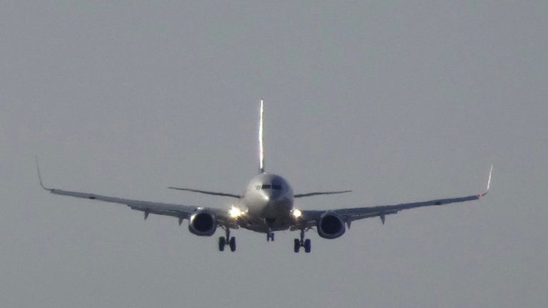 Перелёты в Камрань стартуют из Иркутска с 1 октября - НТС Иркутск