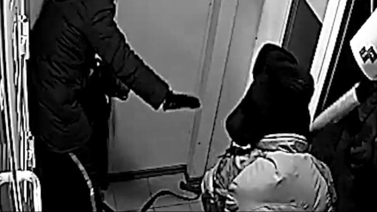 Расследование дела о нападении на братчанку и её собаку на контроле прокуратуры