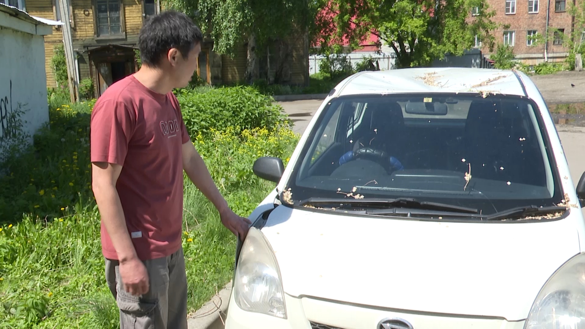 Дерево рухнуло на автомобиль во дворе жилого дома в Иркутске | 04.06.2024 |  Новости Иркутска - БезФормата