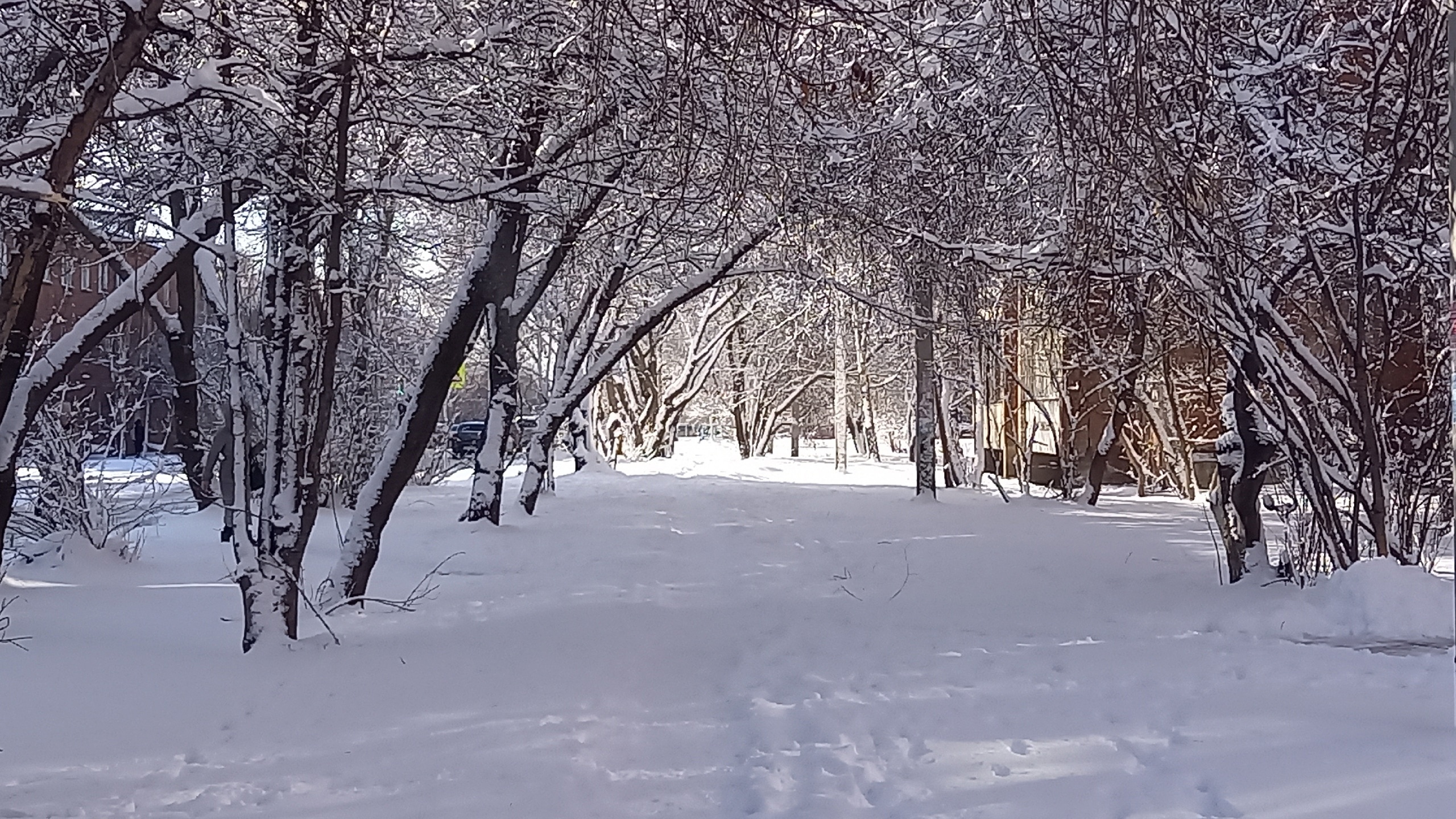 Погода зиме иркутской области на 10 дней. Снежное Весеннее утро. Снежная буря. Снежок Иркутский.