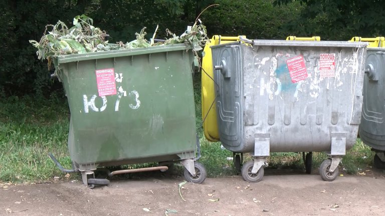 Правильная утилизация, или Почему ветки и кусты нельзя выбрасывать вместе с другим мусором