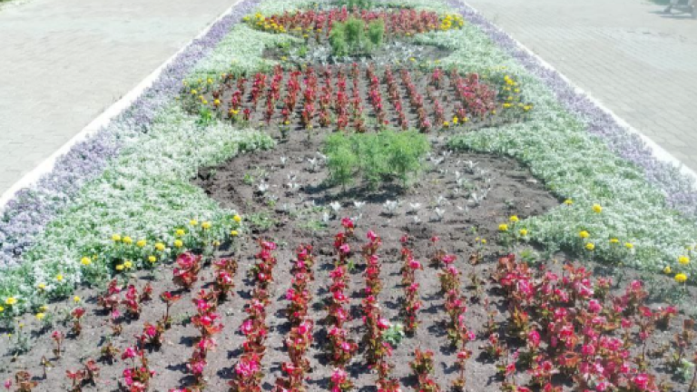 С клумб Иркутска пропало около 300 цветущих растений и два уличных вазона  