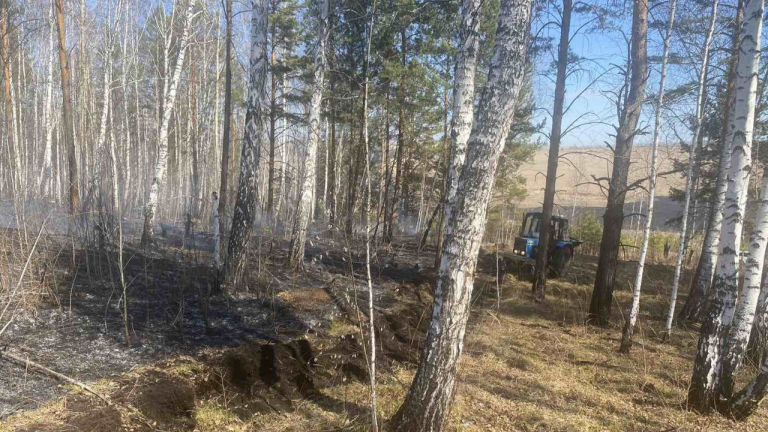 15 гектаров леса тушат сегодня в Зиминском районе