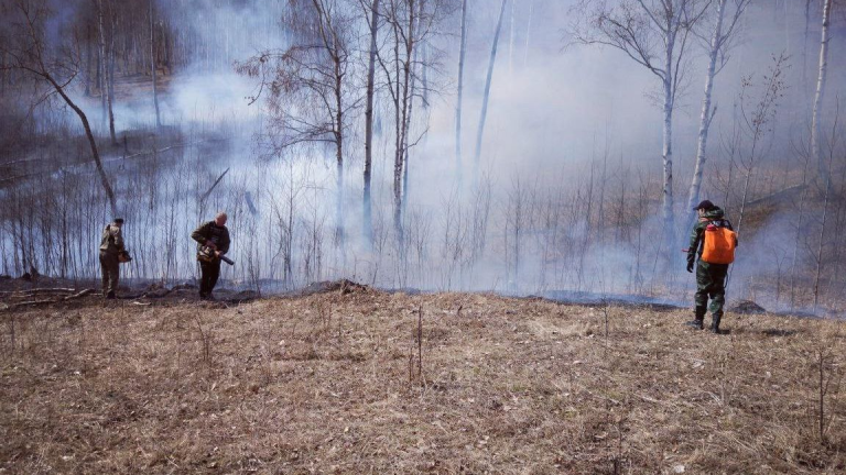 10 лесных пожаров потушили за сутки в Иркутской области 
