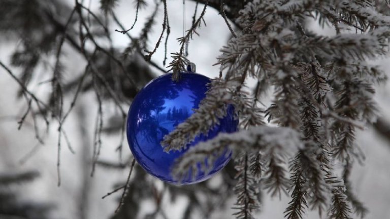 Главную новогоднюю ёлку Октябрьского округа Иркутска откроют 22 декабря