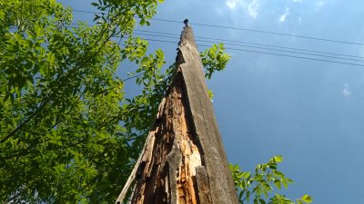 Столбы линий электропередач регулярно падают в одной из деревень под Ангарском