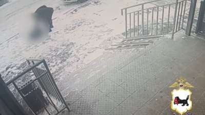 В Иркутске мужчина выбросил с балкона высотки собаку своей дочери