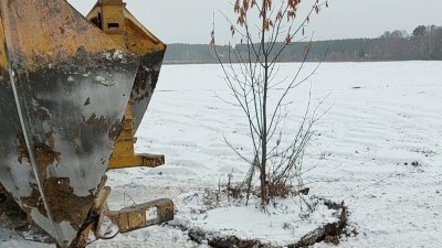 Технологию высадки деревьев при минусовых температурах применяют в Иркутской области