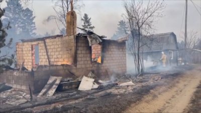 Три садоводства и детский лагерь пострадали от пожаров в Усольском районе