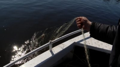 Реки и озёра патрулируют в Братске в рамках "Всероссийского дня без сетей"