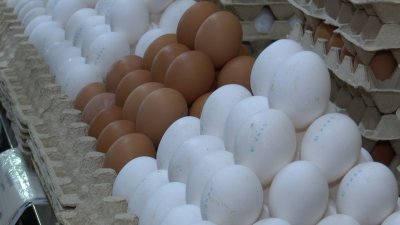 Яйцо и мясо птицы резко подорожали в Иркутской области