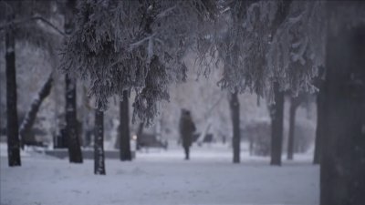 Погодные аномалии 2023 года в Иркутской области
