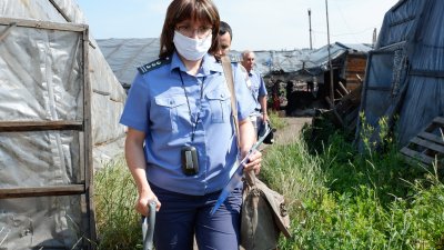 Серьёзные нарушения выявлены в работе сельхозпредприятий Иркутской области